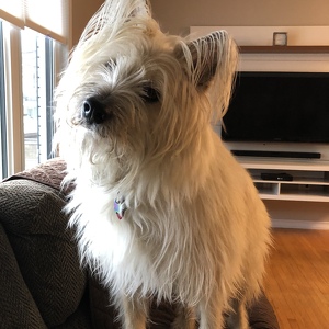 Fundraising Page: Maureen Kennington